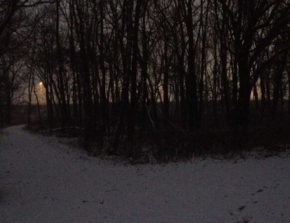 Stopping By Woods On A Snowy Evening