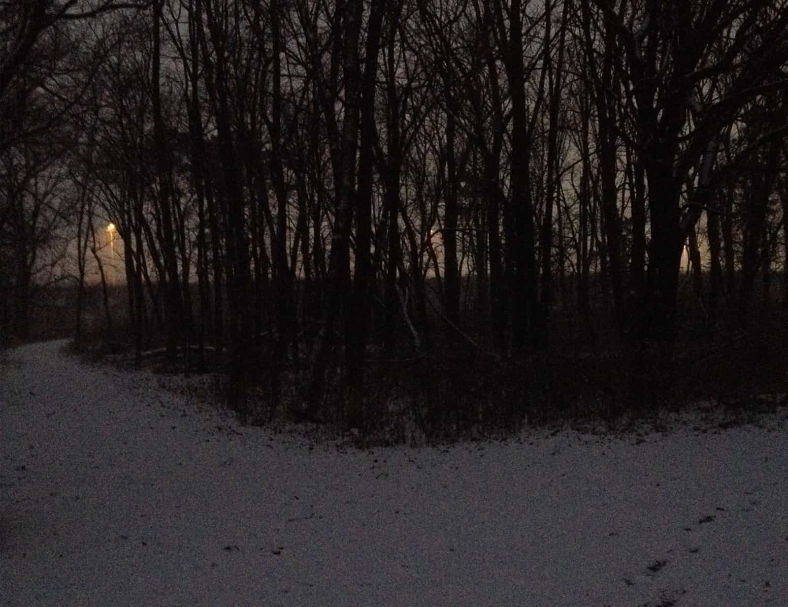 Stopping By Woods on a Snowy Evening Analysis