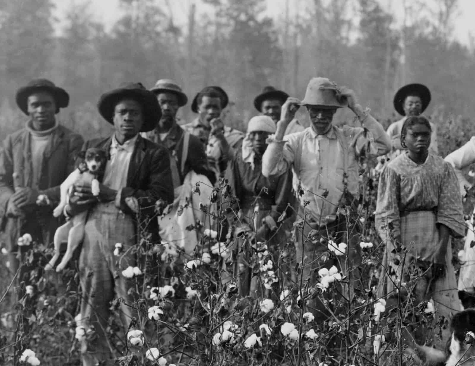 Free At Last Comprehension Task