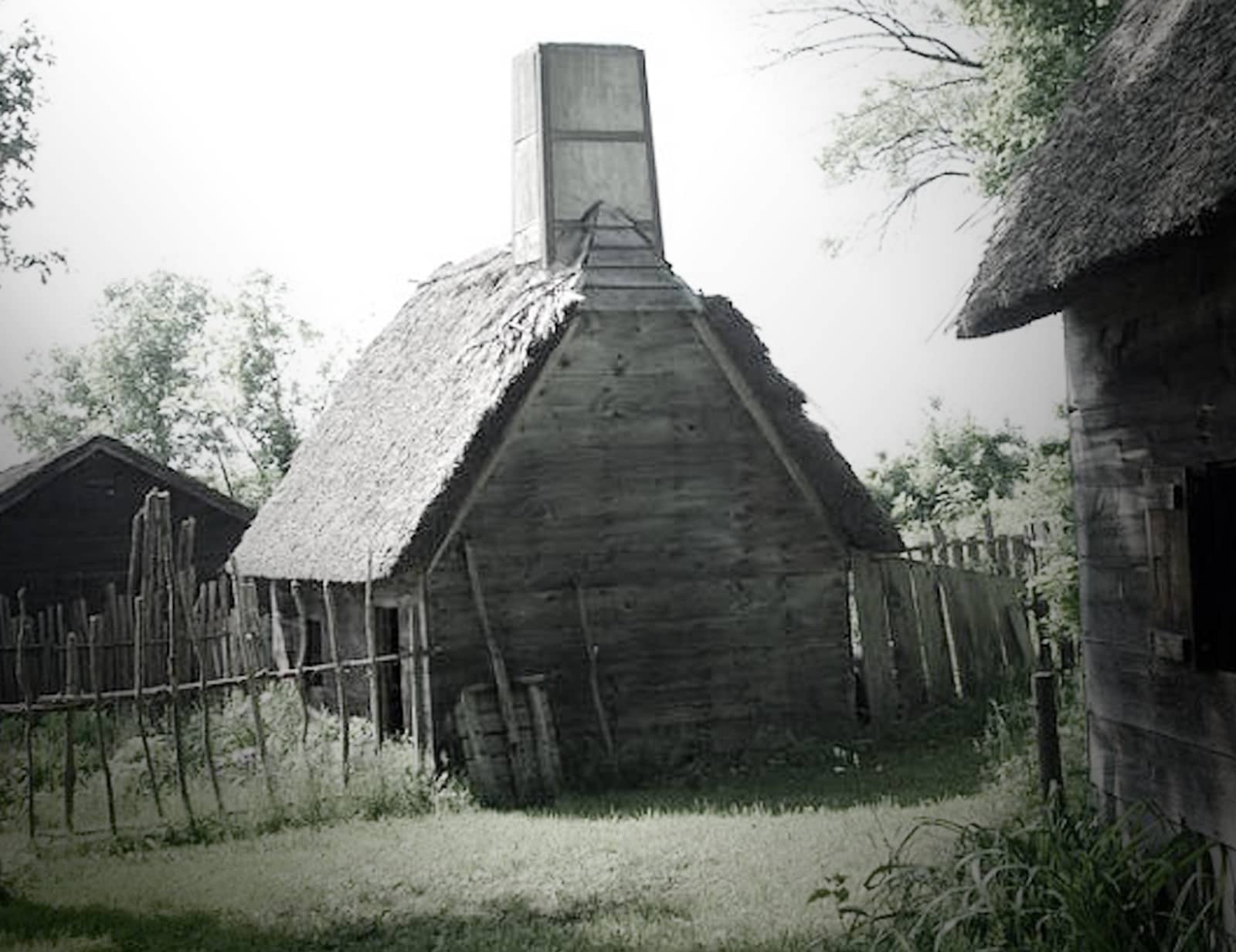 Witch Child - Settlement Exercises