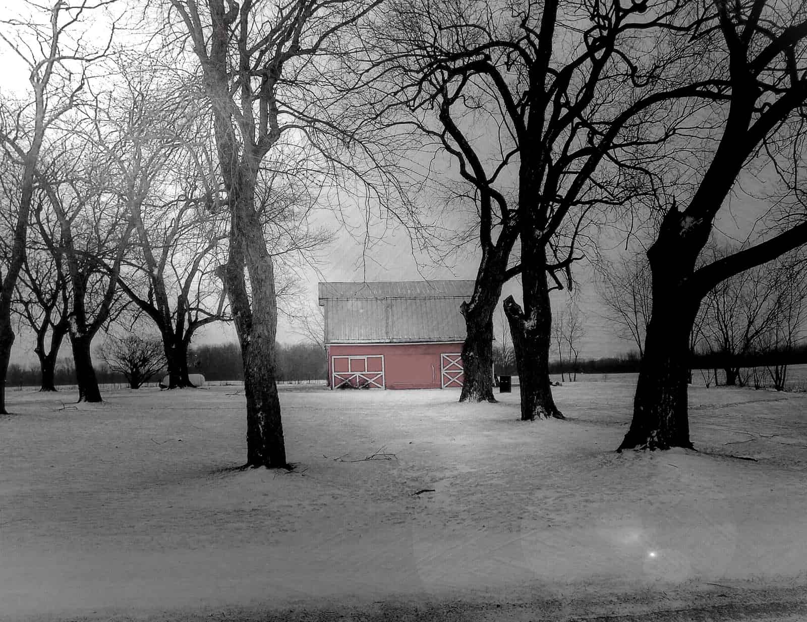 Celia Rees "Witch Child" Settlement Vocabulary