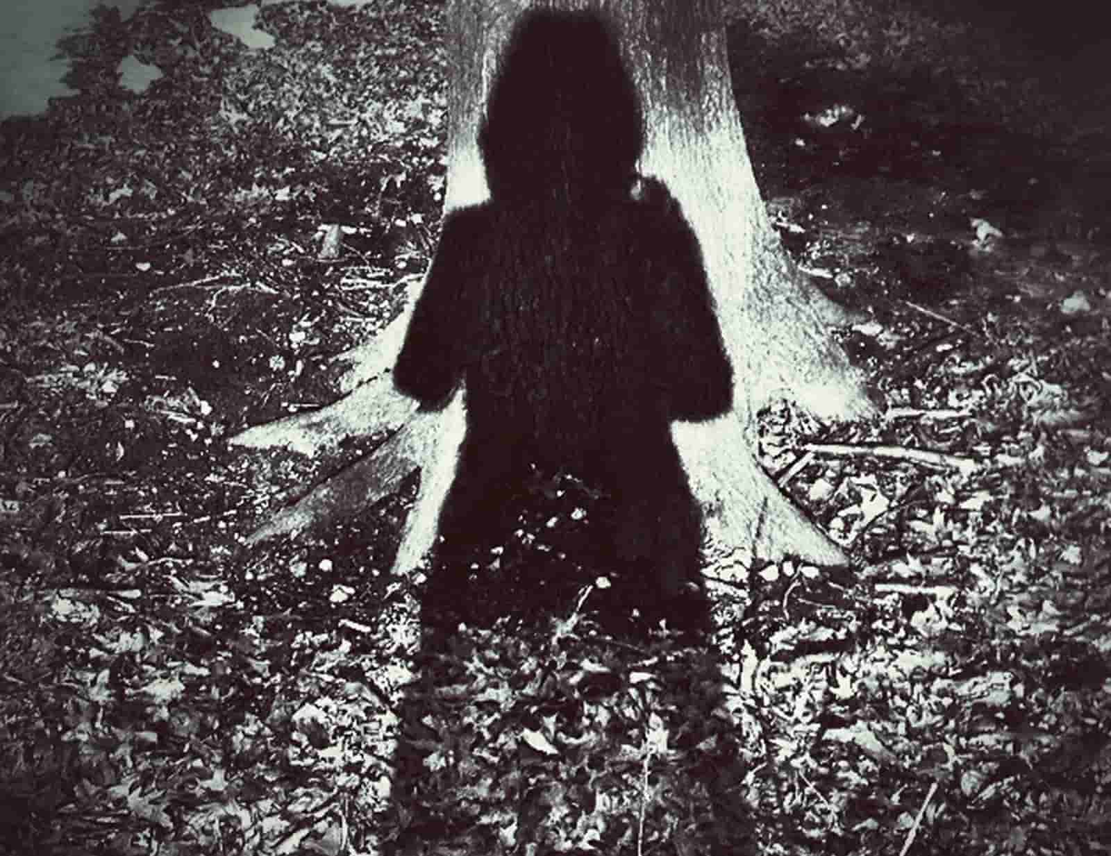 Celia Rees "Witch Child" Settlement Exercises