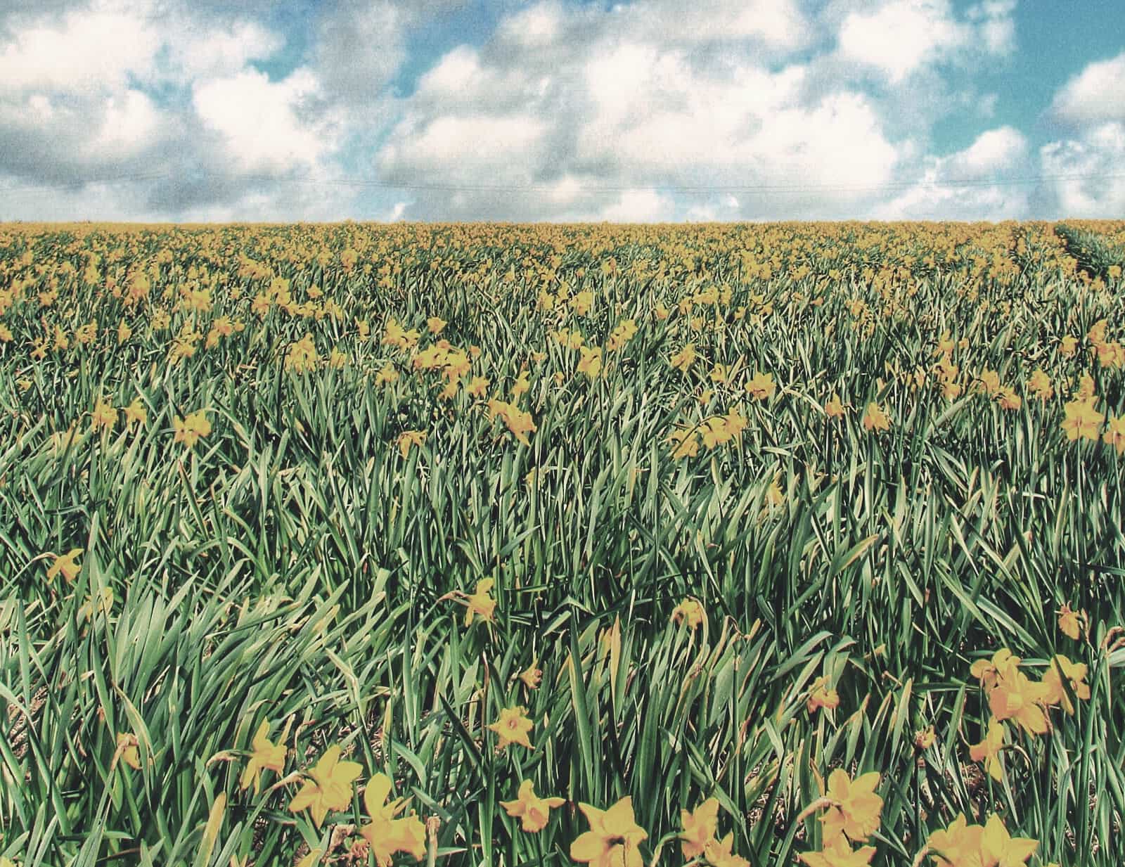 How to Analyse a Simile