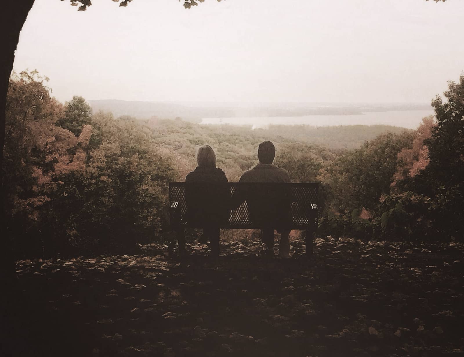 Elizabeth Browning - Sonnet Comprehension Task