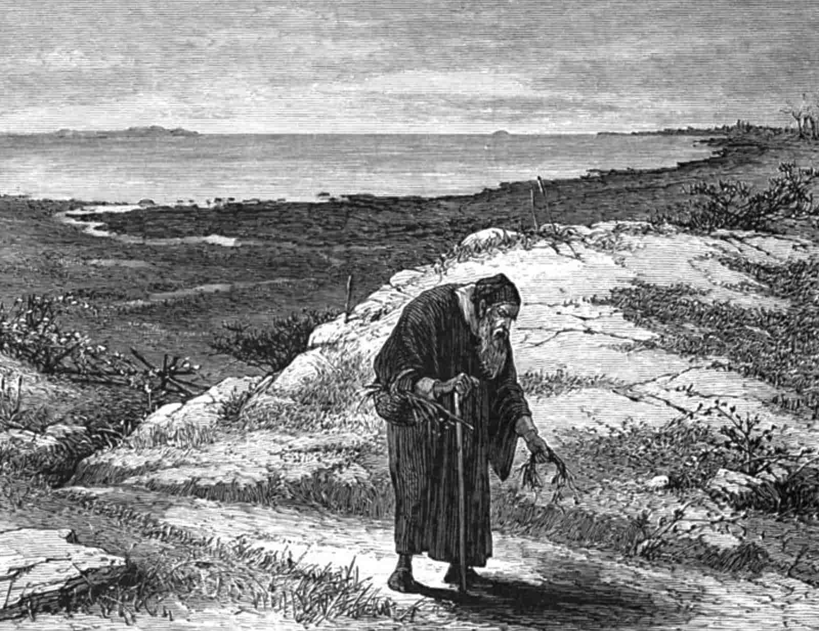 The Scarlet Letter - Chillingworth the Villain