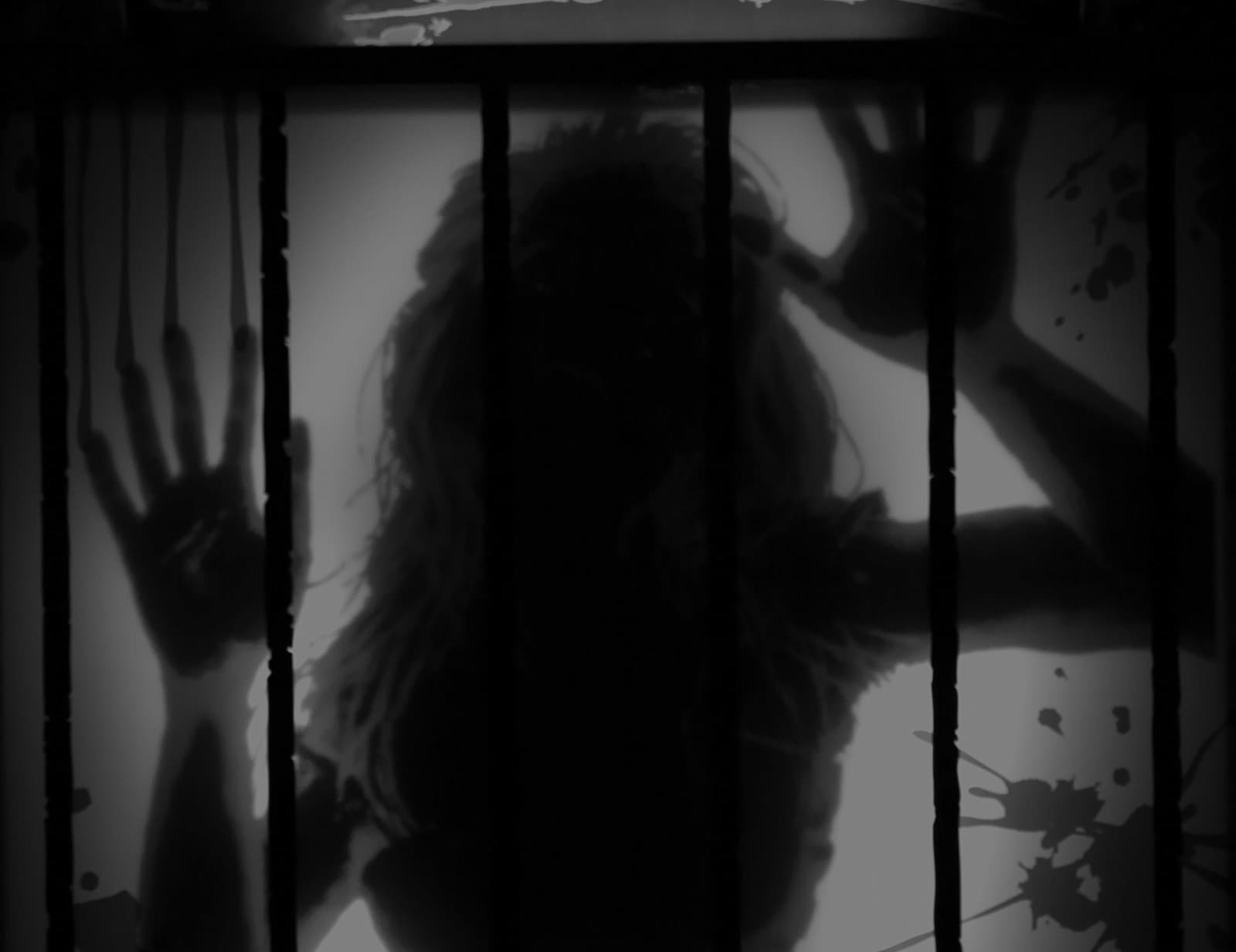 a silhouetted women trying to reveal the truth