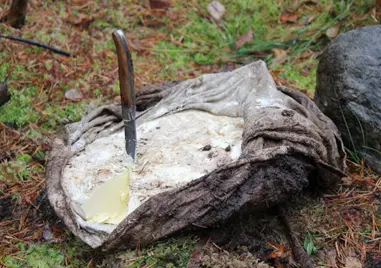 Butter retrieved from the bogland