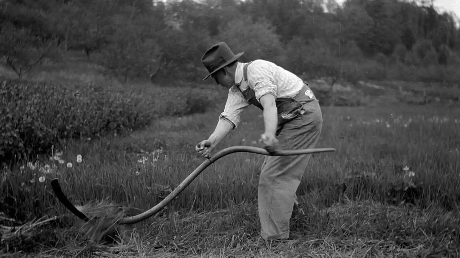 man mowing the grass with a scythe
