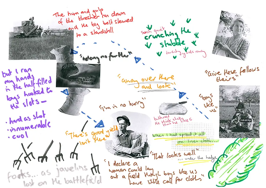 diagram of the scene in The Wife's Tale